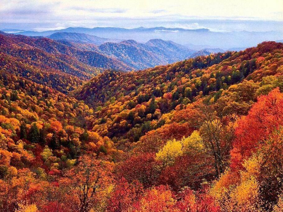 Whiskey Ridge Lodge, A Restored 1940S Gem, 2 Mins From Downtown, Breathtaking City Views, Custom Game Room, And Spacious Elegance Gatlinburg Ngoại thất bức ảnh